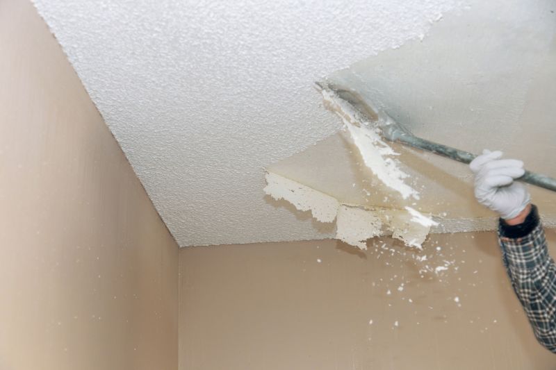 Eliminates dust and allergens trapped in textured ceilings